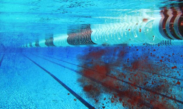 Cronaca di un tuffo suicida
